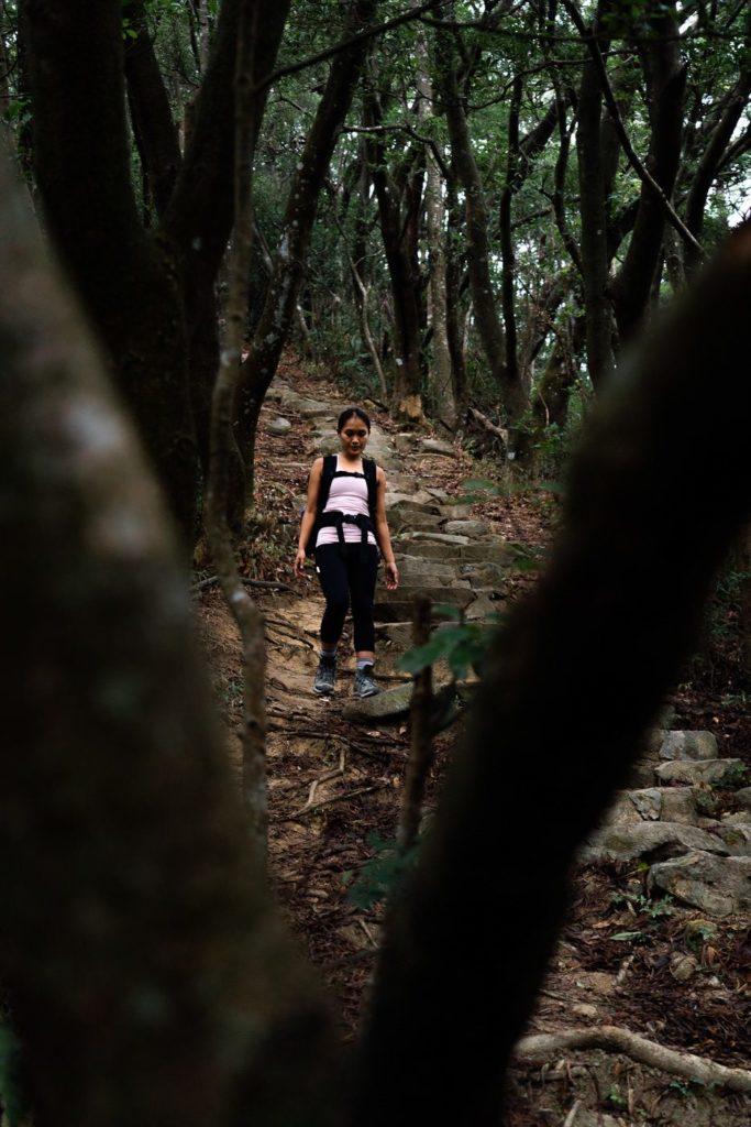 森の中の小道を歩いている女性。