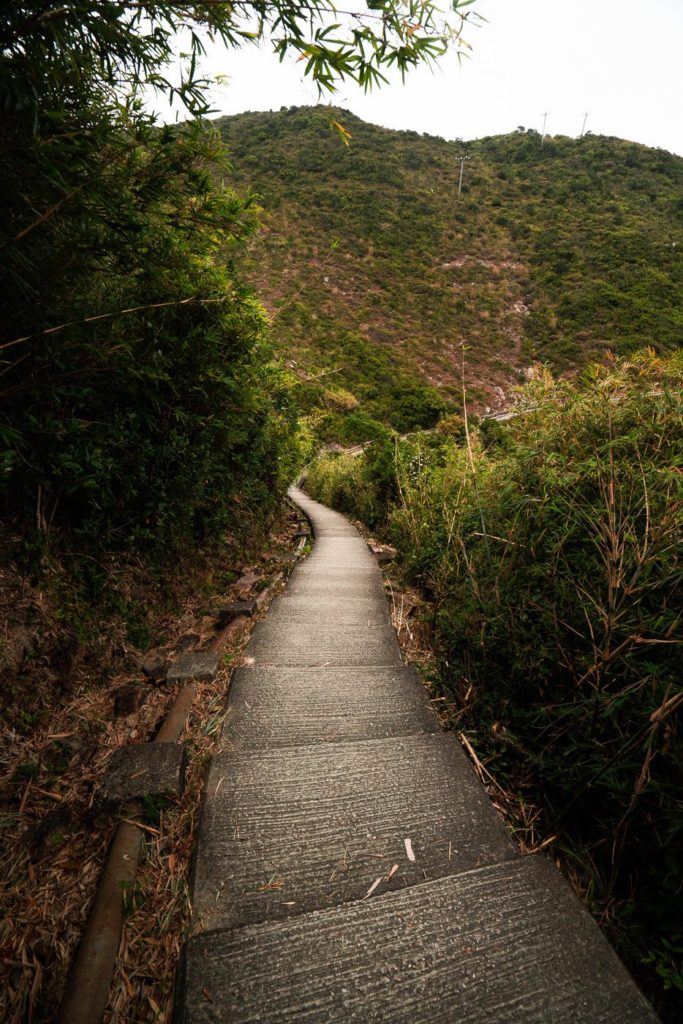 山を背景に丘を登る木製の歩道。
