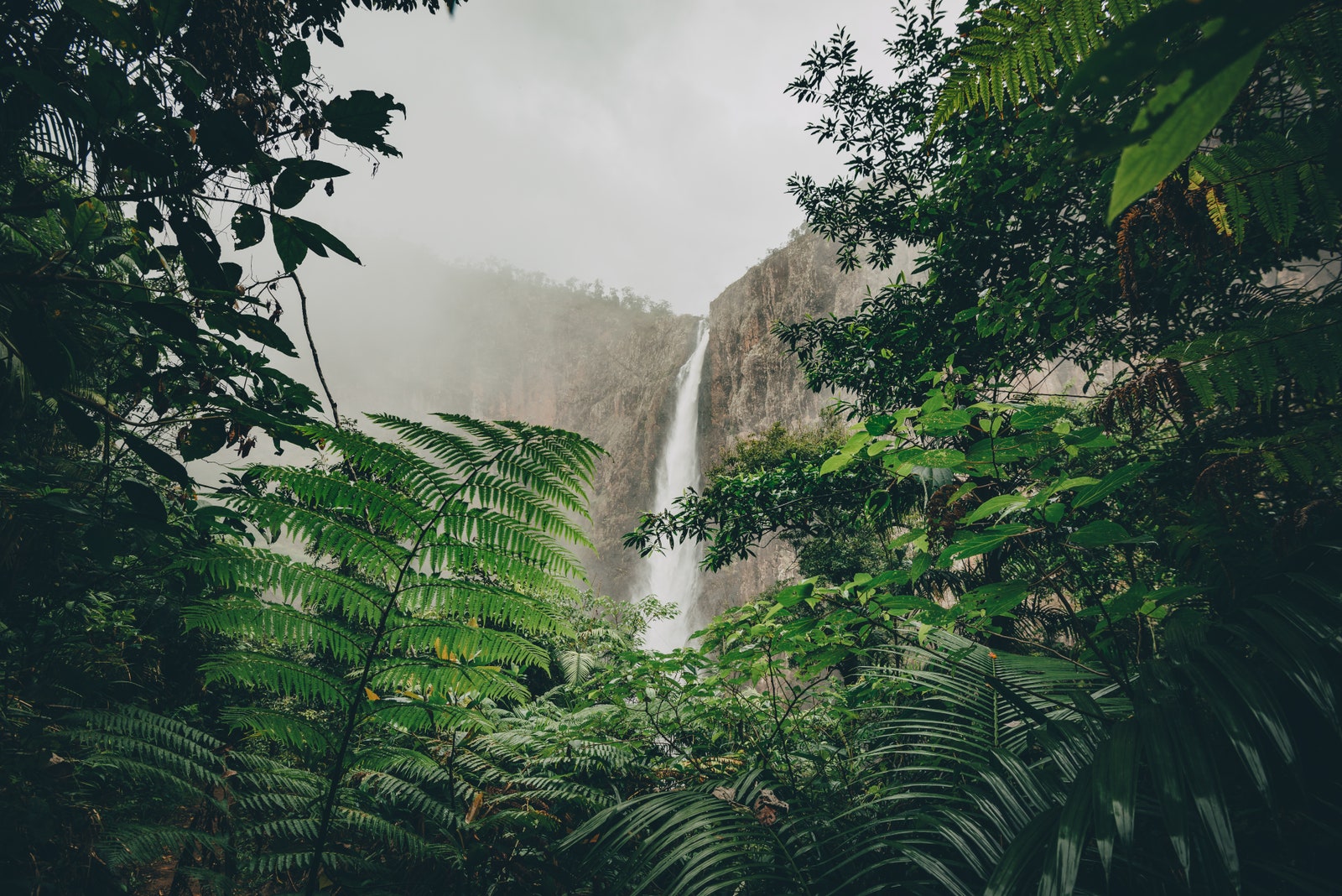 ワリガル ハイランド熱帯雨林保護区