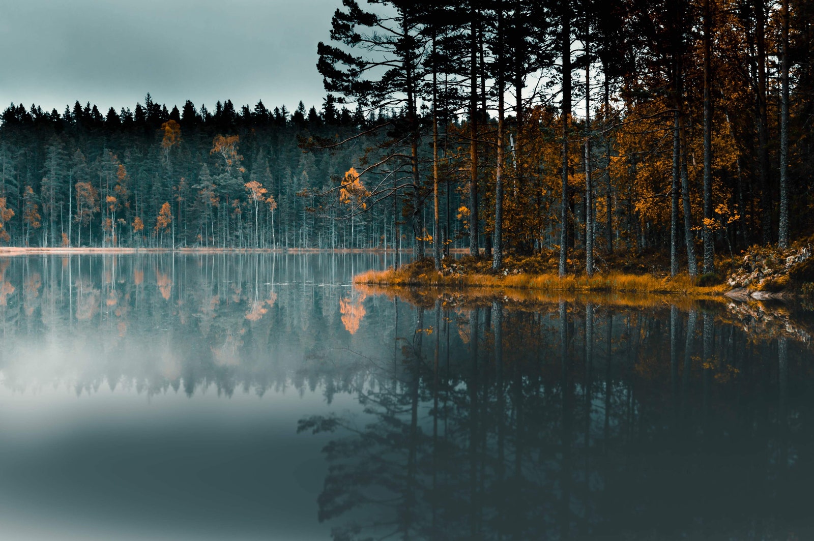 空を背景にした森の中の湖の美しい景色 スウェーデンのスキンズカッテベルグで撮影した写真
