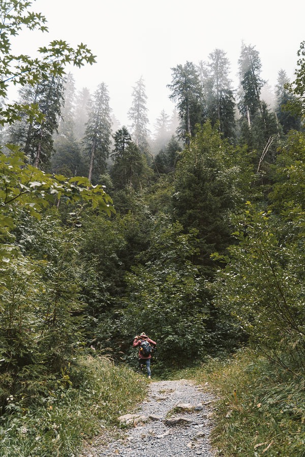 森の中の小道を歩いている人。
