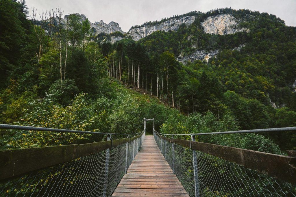 森の真ん中にある吊り橋。