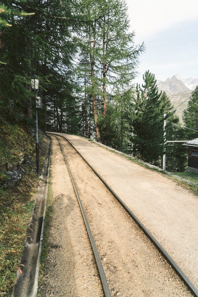 森の隣の線路を走る電車。