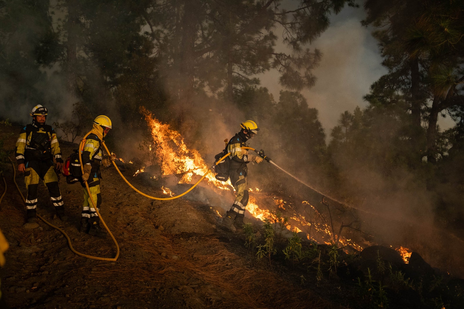 EIRIF BRIFORとUMEのオペレーターは、7月15日の夜明けにロサンゼルスで宣言された森林火災の消火活動に取り組んでいます。