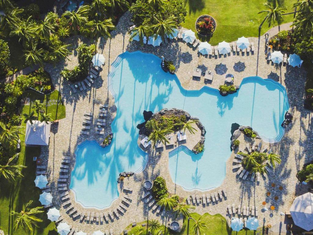 An aerial view of a swimming pool surrounded by palm trees.