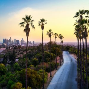 ロサンゼルス: 危険な都市 (+ 避けるべき地域)?