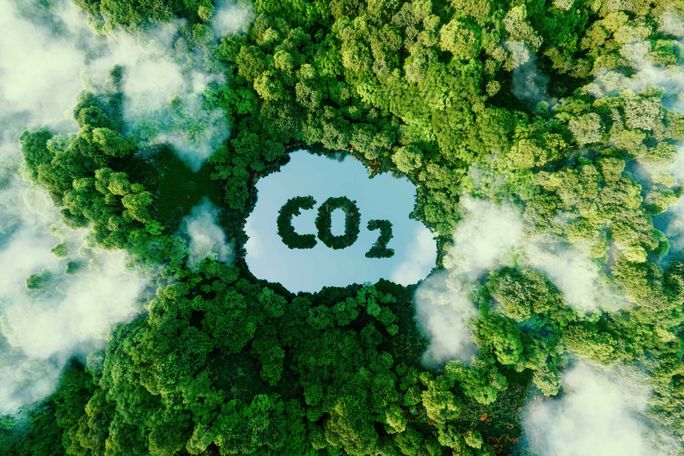 二酸化炭素の排出と自然への影響