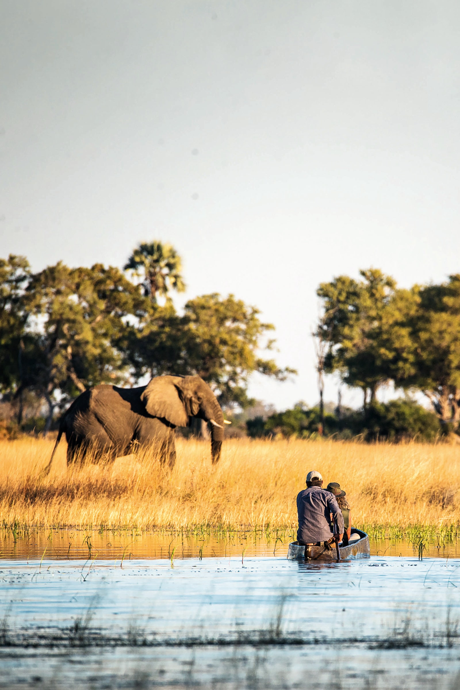 カヌーに乗って象を眺める二人
