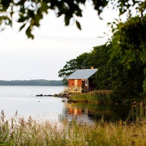 信頼、謙虚さ、幸福の追求: フィンランドの冒険で世界で最も幸せな人々から学ぶ