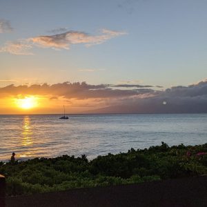 ハワイ、短期レンタルを制限する法律を可決